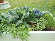 Zahrádka ve školce